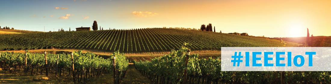 Tuscany vineyard with #IEEEIoT